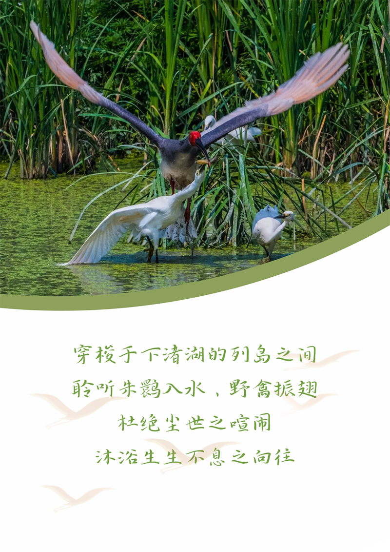 心心念廿 相伴卓然 | 與德清相約 賀廿載誕辰